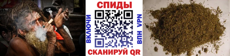 хочу Чердынь БУТИРАТ BDO