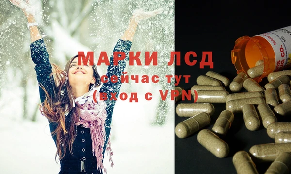 индика Баксан