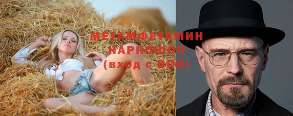 индика Баксан