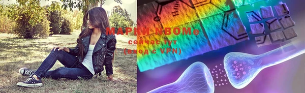 индика Баксан