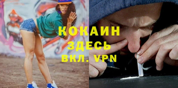 индика Баксан